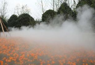使用人造霧造景時應該注意哪些事項？