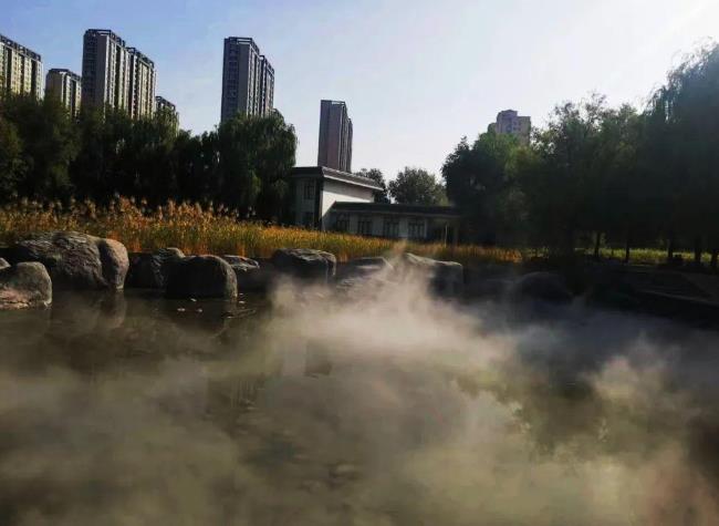 太美了！青城這個公園如“仙境”一般…